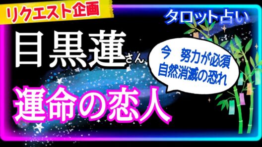 【目黒蓮さん】海外でもモテる💝今恋人はいますか？居るならかなり頑張らないと💪です⚠️相手は特定してません⚠️ @chamomile_roirom_noa