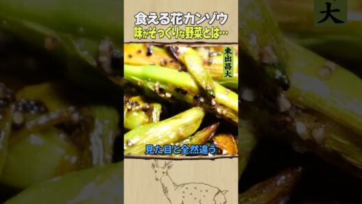 東出昌大 / 食える花・カンゾウ