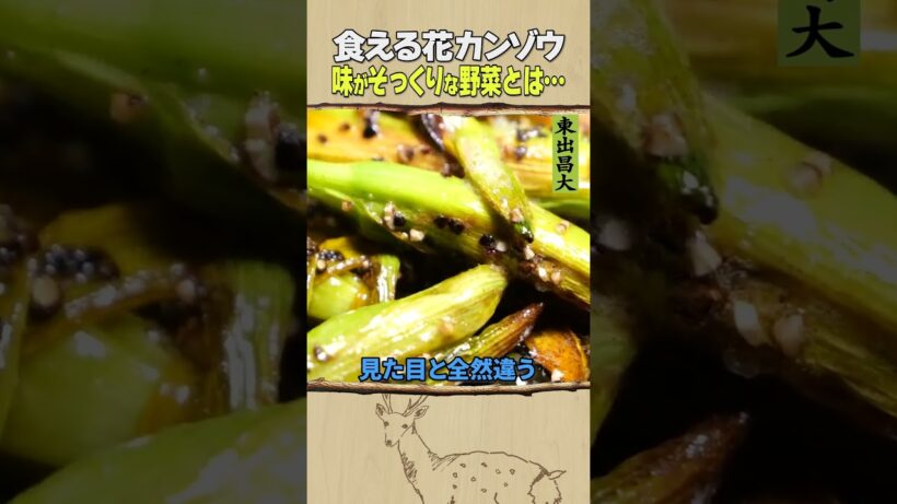東出昌大 / 食える花・カンゾウ