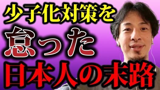 【ひろゆき】今の日本がここまで落ちぶれたのは言うまでもありません、人口が増えないからですよ【少子化対策 子ども 教育 結婚 独身 仕事 自民党 外国人労働者 子育て支援 お金】