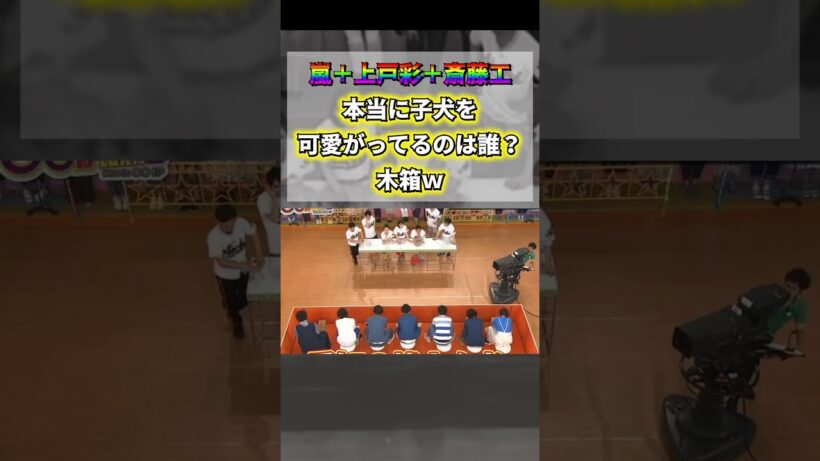 【嵐＋上戸彩＋斎藤工】本当に子犬を可愛がってるのは誰？木箱ｗ＃嵐 #arashi #大野智 ＃二宮和也 ＃お笑い＃shorts ＃ジャニーズ＃大野智＃櫻井翔＃松本潤#相葉