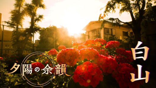 「夕陽の余韻」白山へ　2026年6月24日放送分