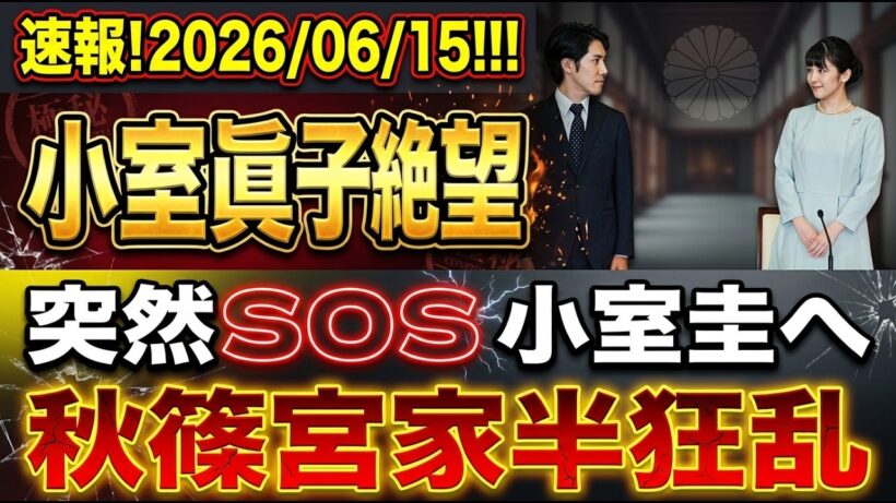 【速報】小室眞子が緊急SOS！小室圭への突然の告発で秋篠宮家が崩壊寸前…2026年6月15日衝撃の事実