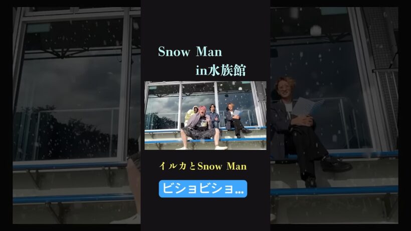 【大迫力】SnowManがイルカショーで大興奮だった件