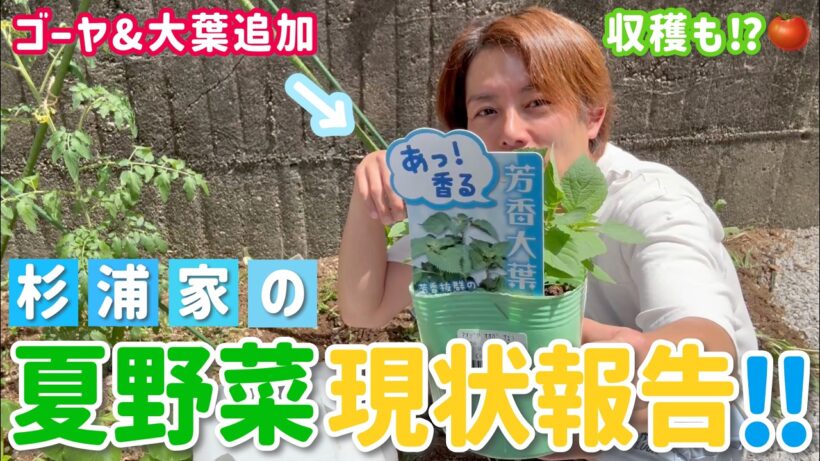 【家庭菜園2026#2】我が家の新たな野菜と成長した野菜たち！