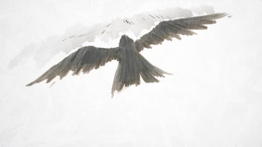米津玄師「烏」Kenshi Yonezu - Karasu (Raven)  Short Anime