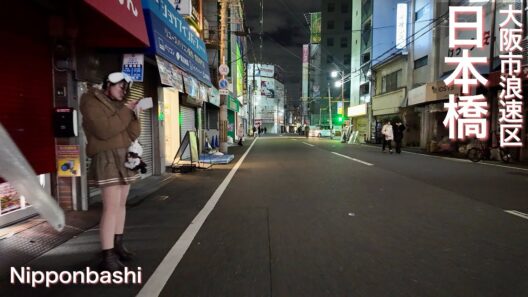 【大阪市浪速区】日本橋オタロードとでんでんタウンで夜の街歩き Night walk around Nipponbashi Ota Road and Denden Town