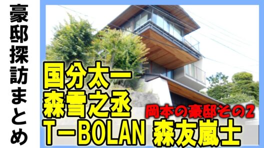 国分太一（TOKIO）・内野聖陽（俳優）・テリー伊藤・ユーミン（荒井由実）・森雪之丞（作曲家）・渡辺宜嗣（元テレ朝）・ヤナセ伝説の営業マン豪邸・SMAP初期の貴重映像など #不動産投資 #高級住宅街