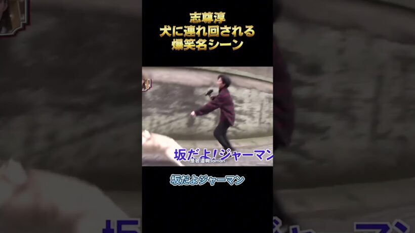 志尊淳、犬に連れ回される爆笑名シーン #お笑い #面白集 #面白い #バラエティ