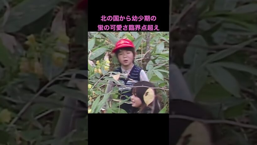 北の国からの幼少期の蛍の可愛さがヤバすぎる。