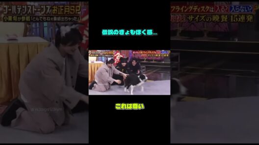 伝説のきょもほく感がすごい…これは何回見ても好き  #sixtones