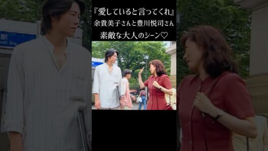 リベンジ投稿です🙏『愛していると言ってくれ』『1995年』#shorts #切ない #名シーン #手話 #余貴美子 #豊川悦司