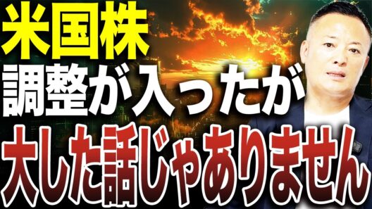 【今がチャンス】米国株の下落に惑わされないで。この調整は大した問題ではありません。資金を厚く入れたい●●株を公開