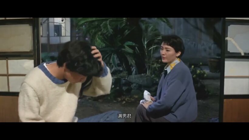 【46-10】【第46集】 寅次郎的故事46：寅次郎的相亲片段10