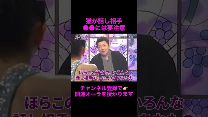 【オーラの泉】飼っていた猫がどうしても伝えたいこと...#美輪明宏 #江原啓之 #切り抜き動画 #shorts #スピリチュアル #感動する話 #占い #開運