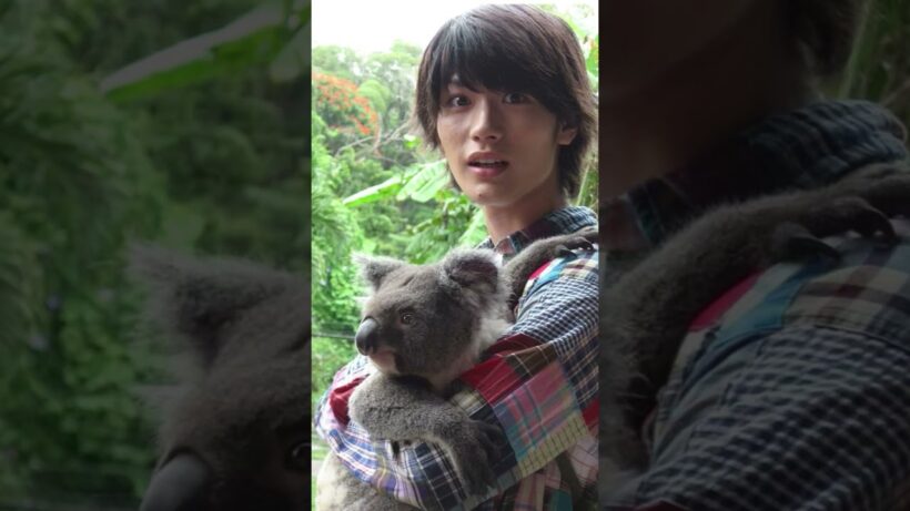 #三浦春馬 #中山美穂#未来へのプレゼント
