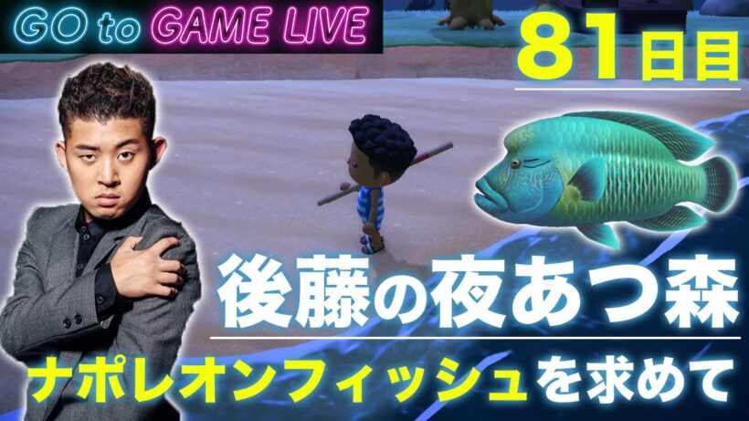 【後藤の夜あつ森】ナポレオンフィッシュを釣り上げます