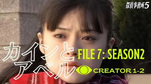 【サスペンスドラマ】詐欺師に立ち向かう｜宍戸瞳(貫地谷しほり)が動いた
