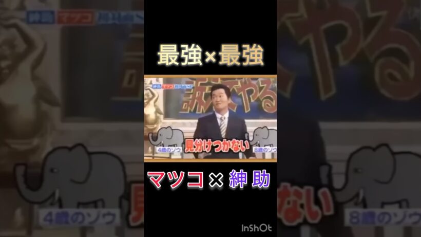 コレが覇権を取る人達の会話… #おもしろ動画 #お笑い芸人 #おもろ #お笑い #ネタ #おもろい #紳助　#紳助トーク　#マツコデラックス #マツコ #行列のできる法律相談所