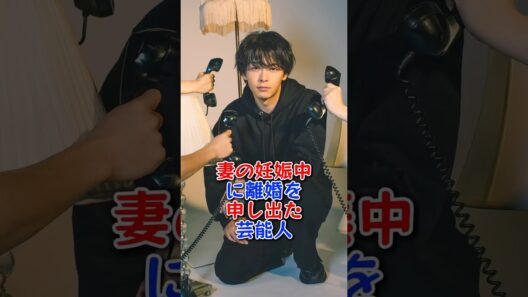 妻の妊娠中に離婚を申し出た芸能人 #中村倫也 #芸能人 #芸能 #fyp