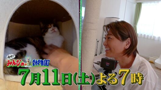 「嗚呼!!みんなの動物園」7月11日(土)よる7時！松村北斗が子猫とんとこアメ&キャンディーを預かるダーリンハニー長嶋家を訪問しメロメロ！サンシャイン池崎＆目の見えない猫らぶのもとには氷川きよしが！