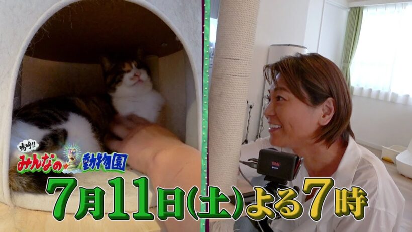「嗚呼!!みんなの動物園」7月11日(土)よる7時！松村北斗が子猫とんとこアメ&キャンディーを預かるダーリンハニー長嶋家を訪問しメロメロ！サンシャイン池崎＆目の見えない猫らぶのもとには氷川きよしが！