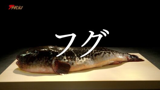 猛毒魚に魅せられた日本人を追うドキュメンタリー！斎藤工がナレーション 映画『GUN FISH あなたの知らないフグの世界』予告編