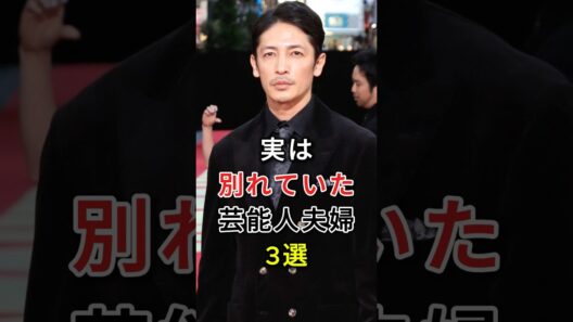 実は別れていた芸能人夫婦3選#芸能人#fyp#内田有紀#玉木宏