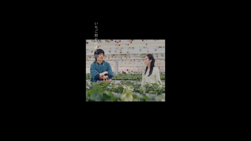 【最終回切り抜き：いちご狩りに誘う仲篇】「冬のなんかさ、春のなんかね」#杉咲花 #岡山天音 #野内まる #今泉力哉 #冬のさ春のね #日テレ #shorts