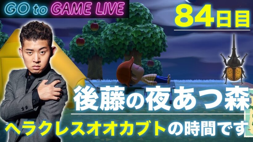 【後藤の夜あつ森】ヘラクレスオオカブトを捕まえます