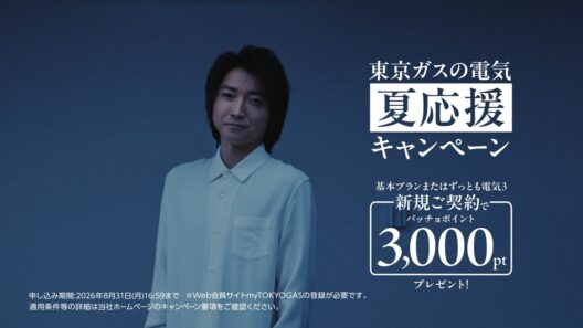 消さないで篇 30秒ver