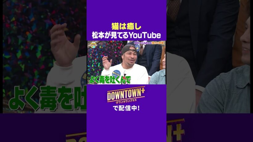 猫は癒し! 松本人志が見ているYouTuber #トーク #ダウンタウンプラス