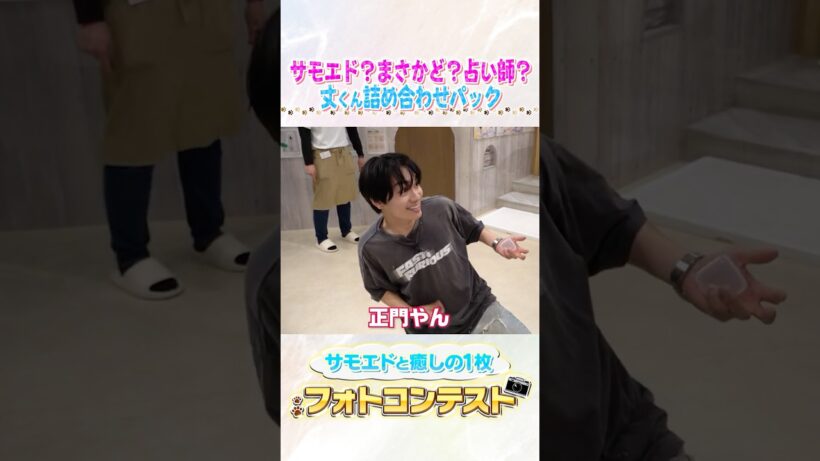 なにわ男子 official【未公開シーン】丈くん詰め合わせパック！