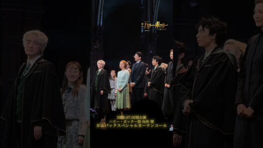 ハリー・ポッター役 #向井理 カムバックスペシャルカーテンコール 🪄
