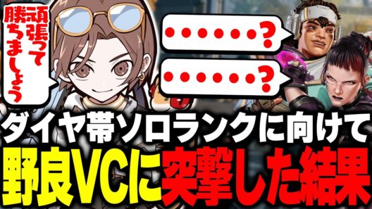 野良VCに勇気を出して突撃してみた結果...。