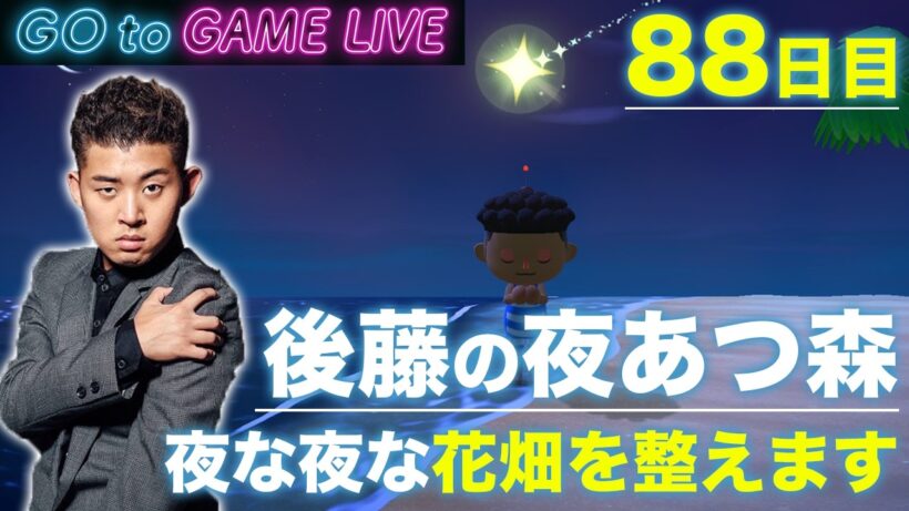 【後藤の夜あつ森】花畑の整理でもしようと思います