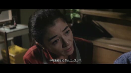 【46-2】【第46集】 寅次郎的故事46：寅次郎的相亲片段2