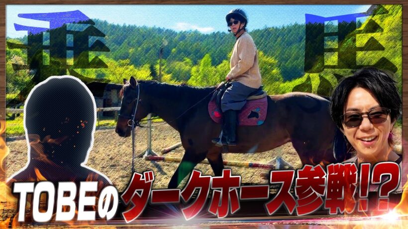 【偶然】北海道の大自然に行ったら…ディープインパクトの息子がいました。…#247