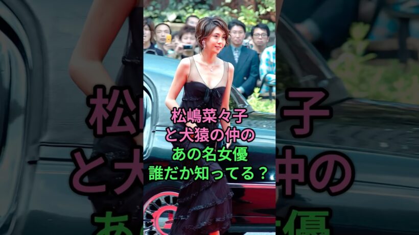 松嶋菜々子と犬猿の仲のあの名女優、誰だか知ってる？ #松嶋菜々子 #反町隆史 #藤原纪香