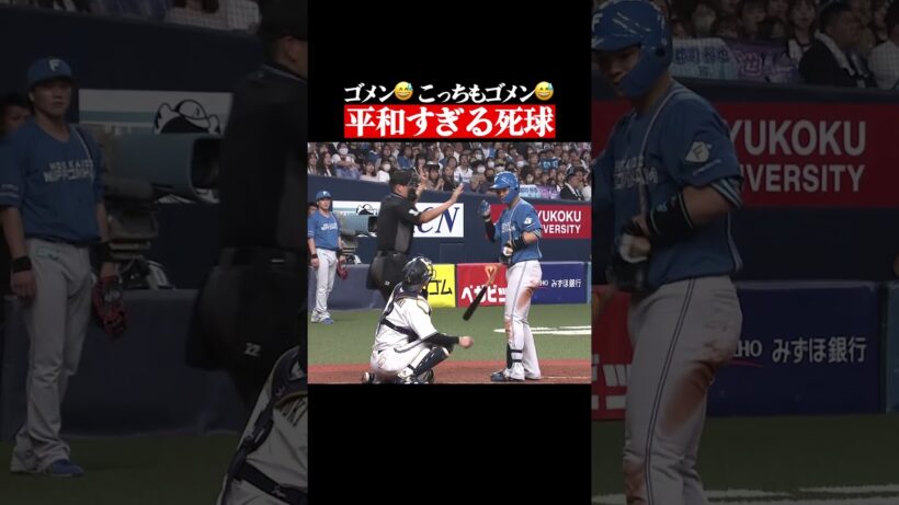 平和すぎる死球 #shorts