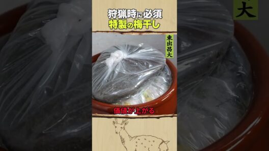 東出昌大 / 特製の梅干し
