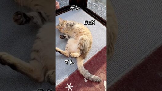 やる気がでんでん