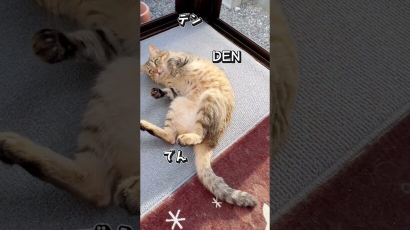 やる気がでんでん