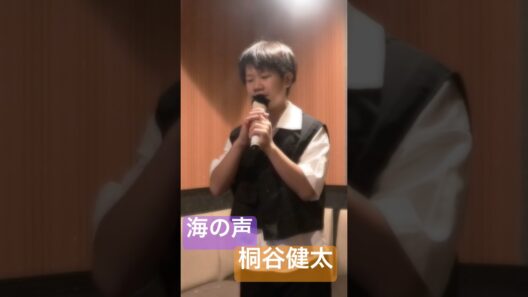 【12歳】歌の声【桐谷健太】カラオケ【一発録り】