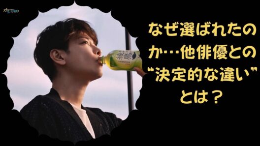 【佐藤健】なぜ選ばれた？他俳優と“何が違ったのか”その理由に迫る【スターズの航海 JBN】#日本のスター #アイドル最新ニュース #有名人ニュース