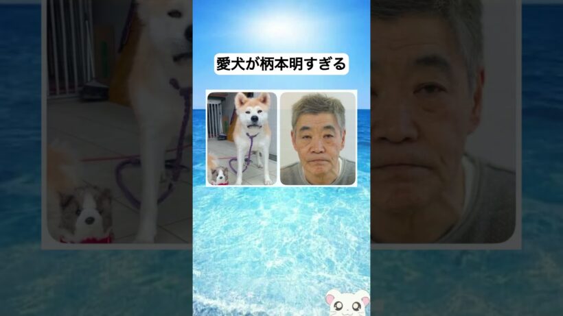 愛犬が柄本明すぎる