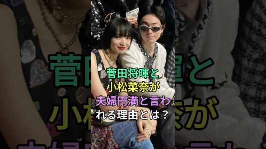 菅田将暉と小松菜奈が夫婦円満と言われる理由とは？#菅田将暉 #小松菜奈が #fyp #芸能人