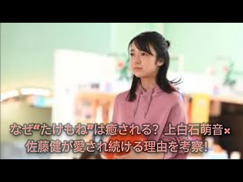 なぜ“たけもね”は癒される？上白石萌音×佐藤健が愛され続ける理由を考察！