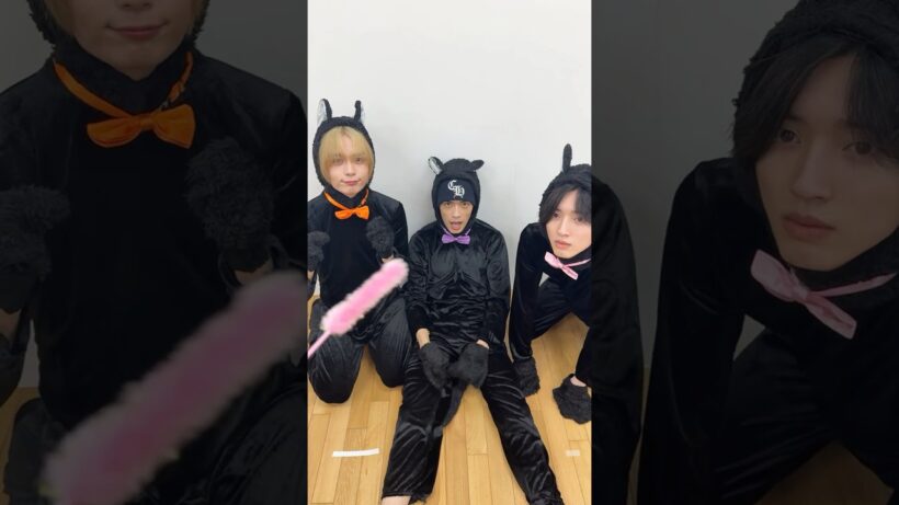 【#大西流星 & #道枝駿佑 & #高橋恭平】＼🐈‍⬛🧡🩷💜🐾／ #にゃにわ男子 #僕がカワイくて君がカワイくて #なにわ男子_ND5