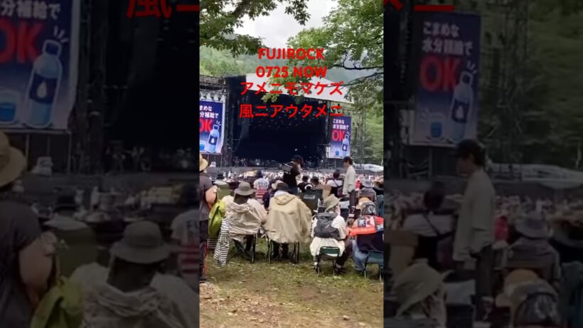 # 藤井風#FUJIROCK#苗場スキー場